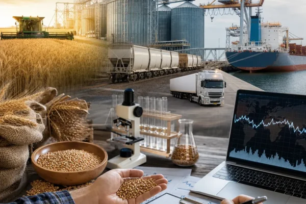 US Wheat Import Market