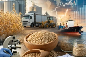 Oat Price per Ton