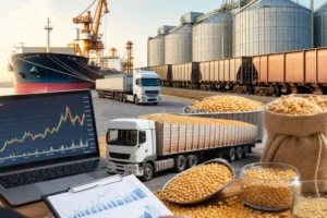China Corn Import Market