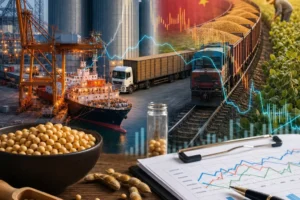 China Soybean Price Trends
