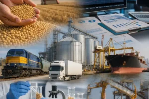 China Soybean Supply and Demand